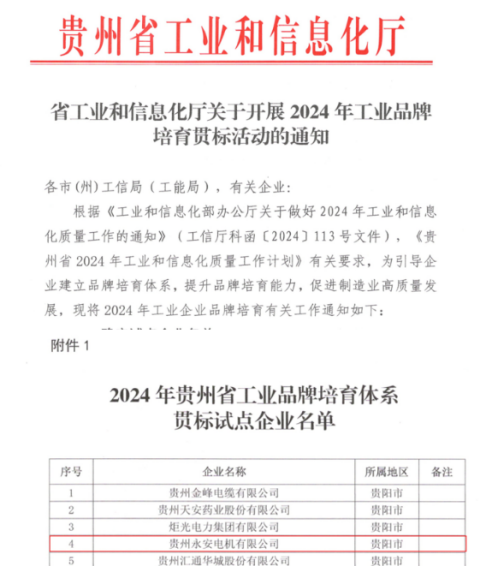 喜訊！貴州永安榮獲“2024年貴州省工業(yè)品牌培育體系貫標(biāo)試點(diǎn)企業(yè)”稱號(hào)